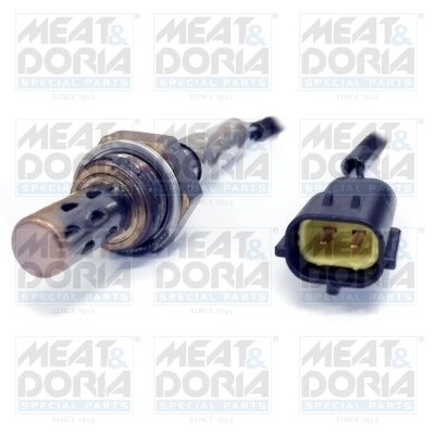 Oxygen Sensor